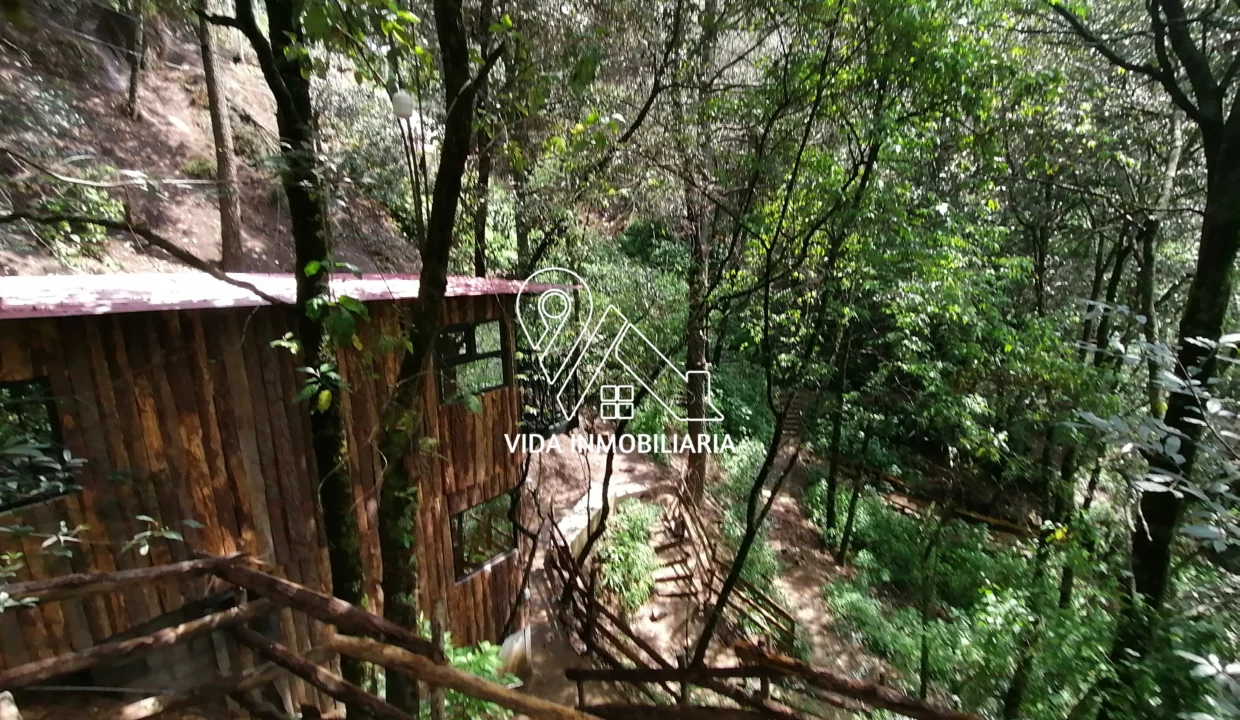 Amenidades 1